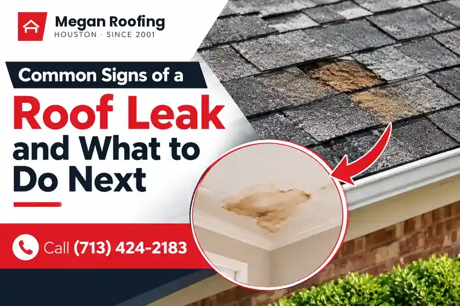 Common signs of a roof leak on asphalt shingles with a ceiling water stain